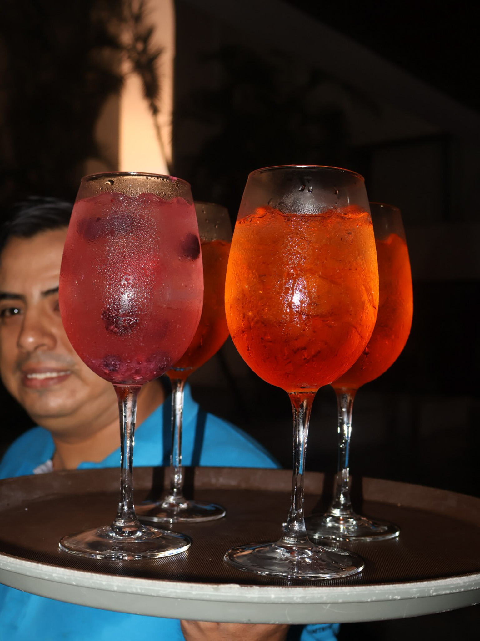 Bebida preparada Tiburón de la Costa 13