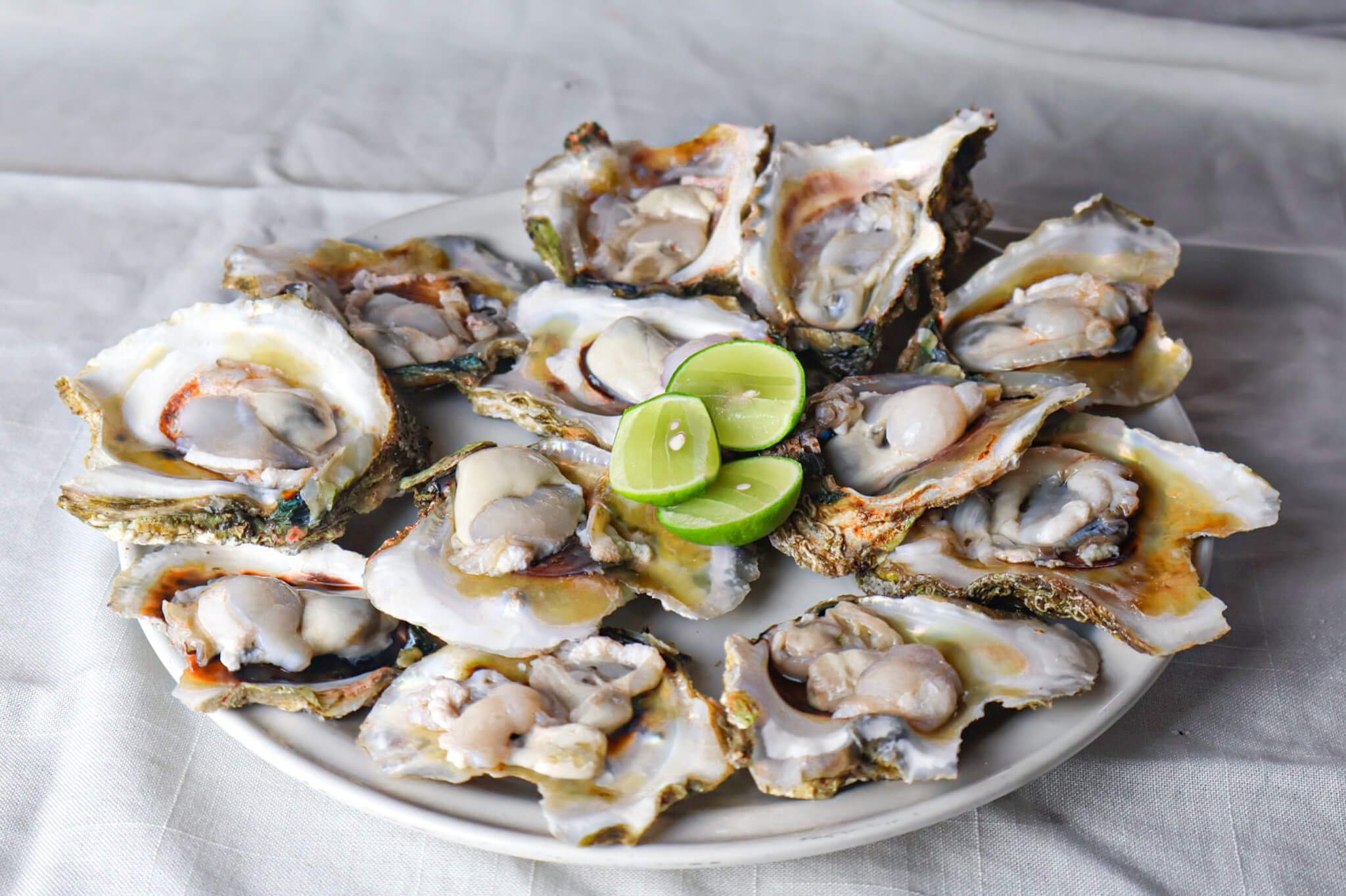 Platillo de mariscos Tiburón de la Costa 15