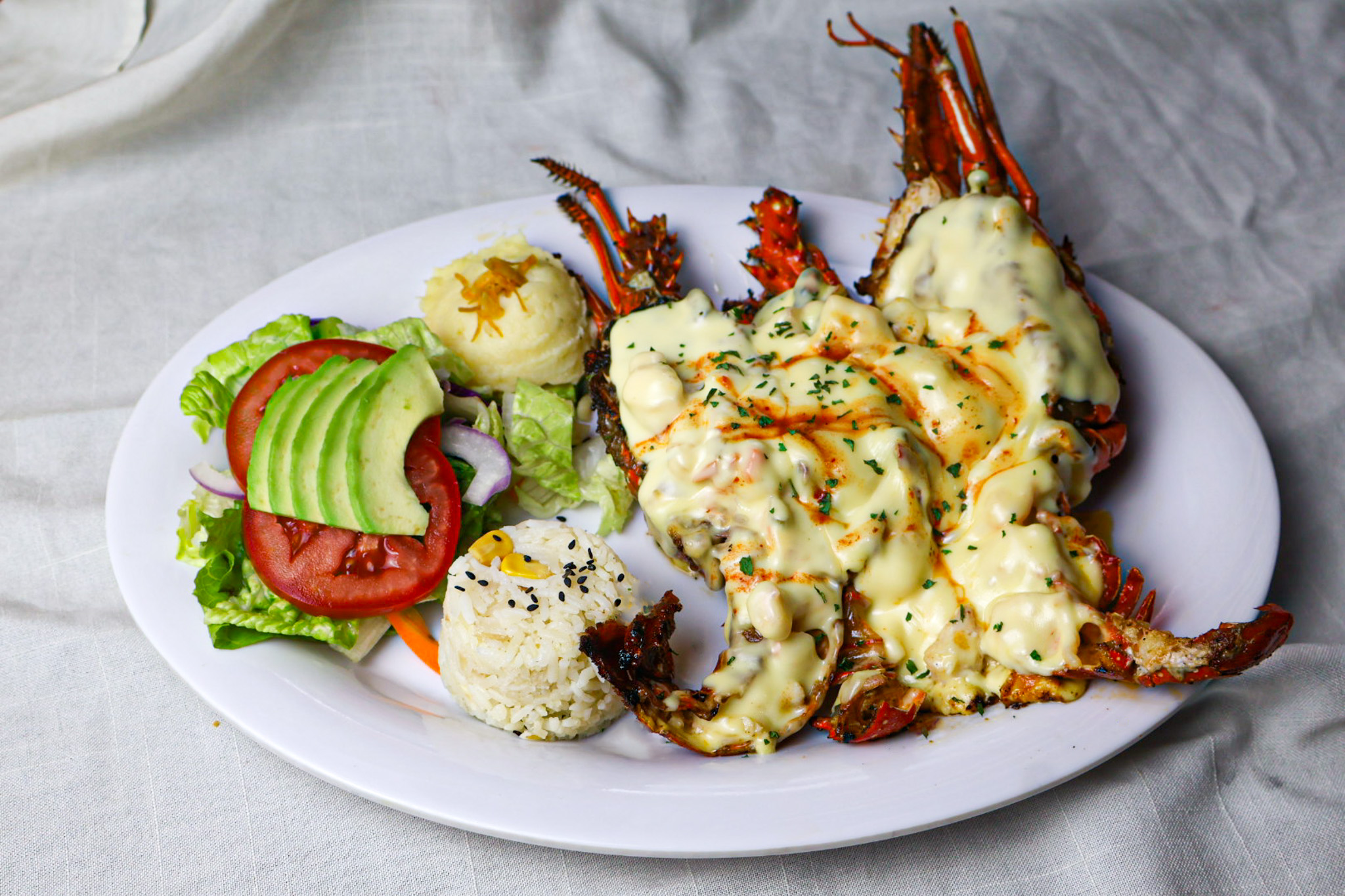 Platillo de mariscos Tiburón de la Costa 17