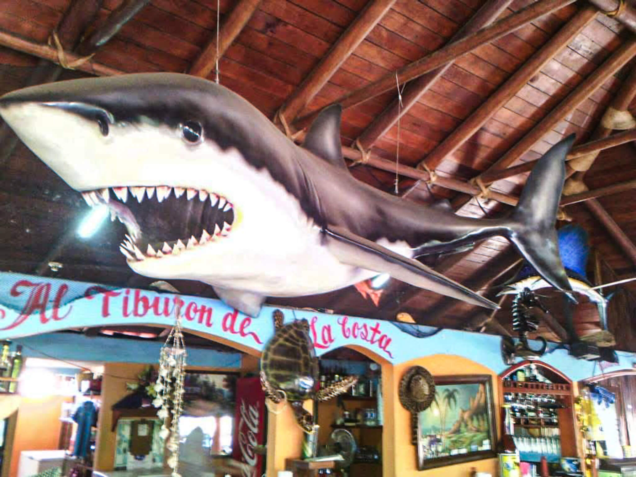 El tiburón que da la bienvenida en Tiburón de la Costa